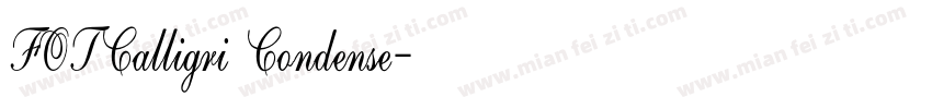 FOTCalligri Condense字体转换